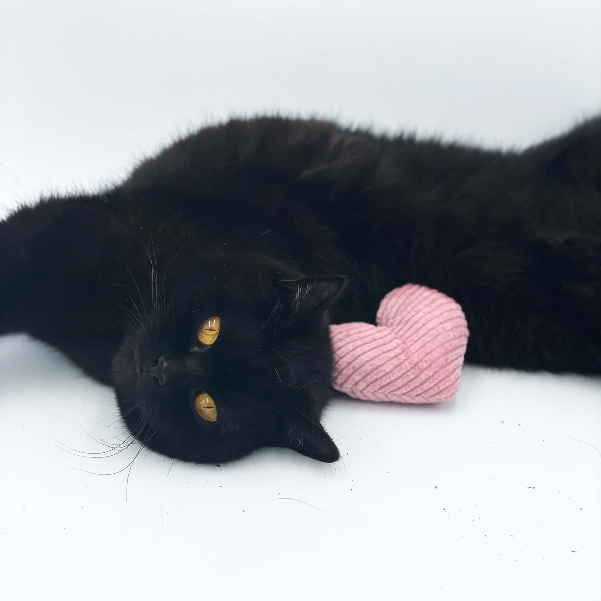 Katze schmust mit Katzenminzekissen