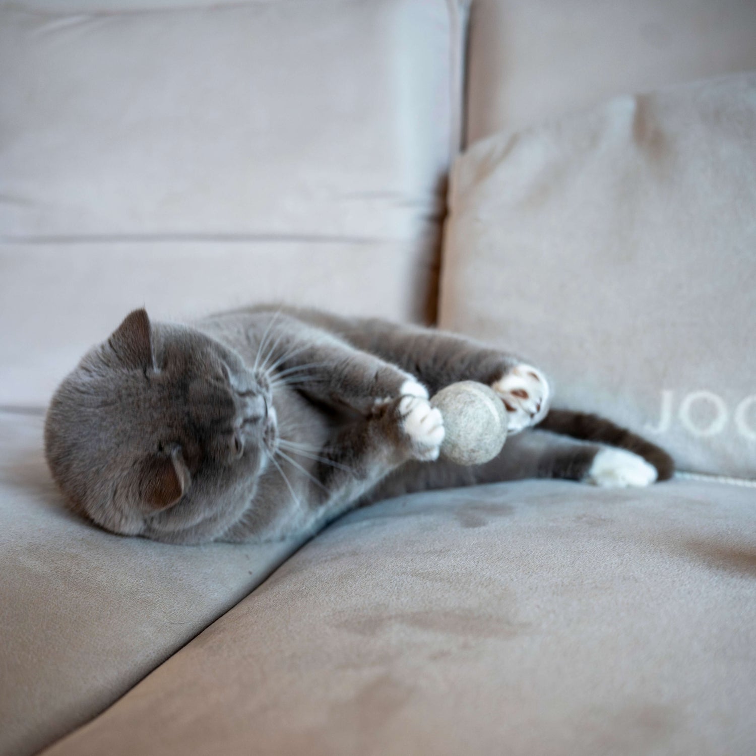 Filzball für Katzen