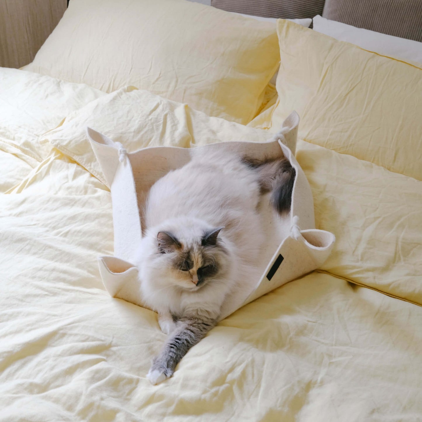 stilvolles, modernes Katzenbett