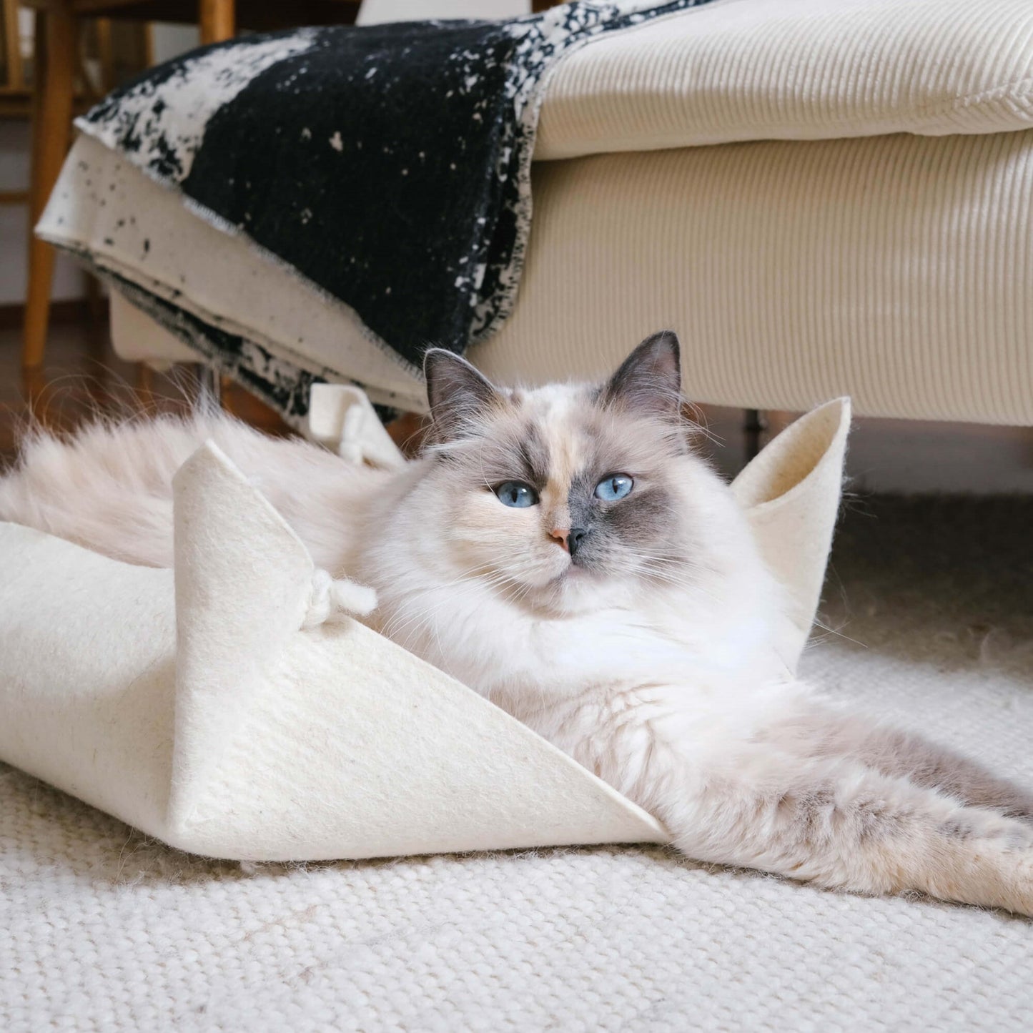 Katzenbett aus Schafwolle
