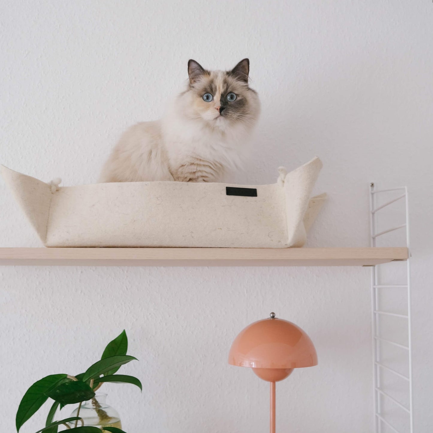 Sandfarbenes Katzenbett