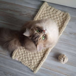 Natürliches Katzenbett aus Schafwolle_Queensize