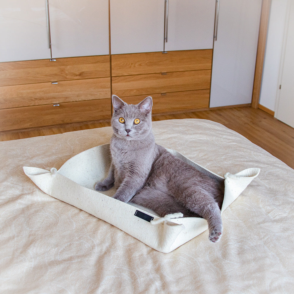 Katzenbett Sleepover Beach von The Catery in der Farbe Sand