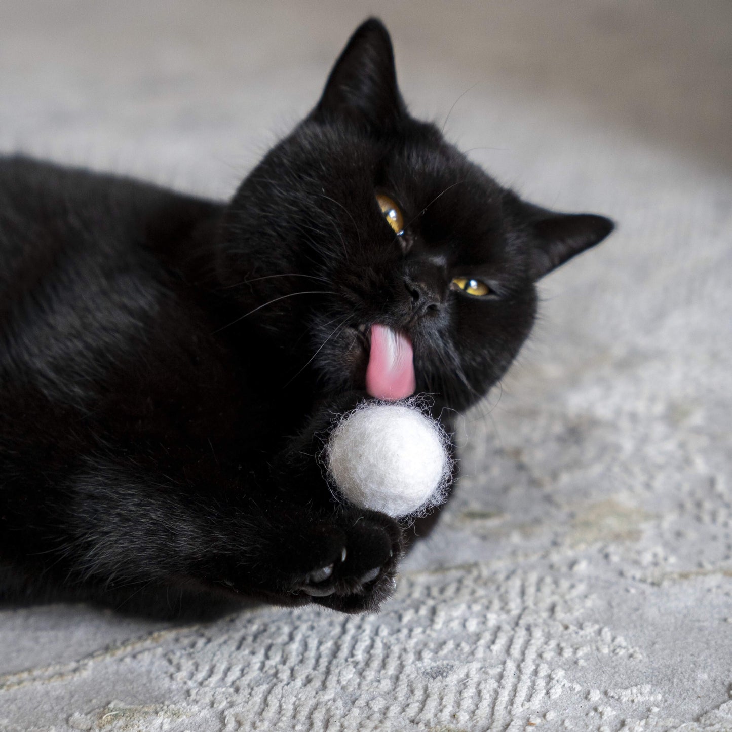 Katze spielt mit Filzball