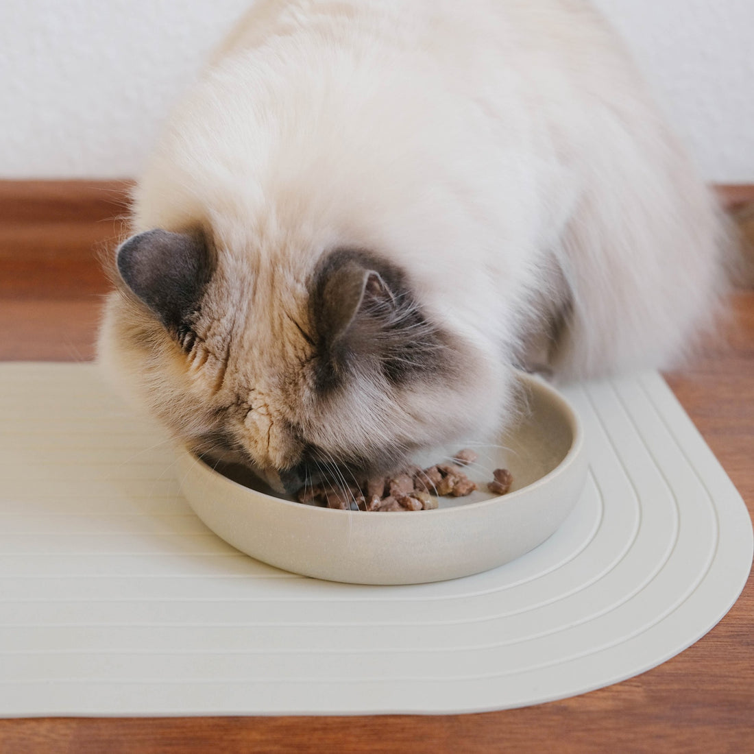 Schne Futterplatz Katze Hundesicher Ebenbild