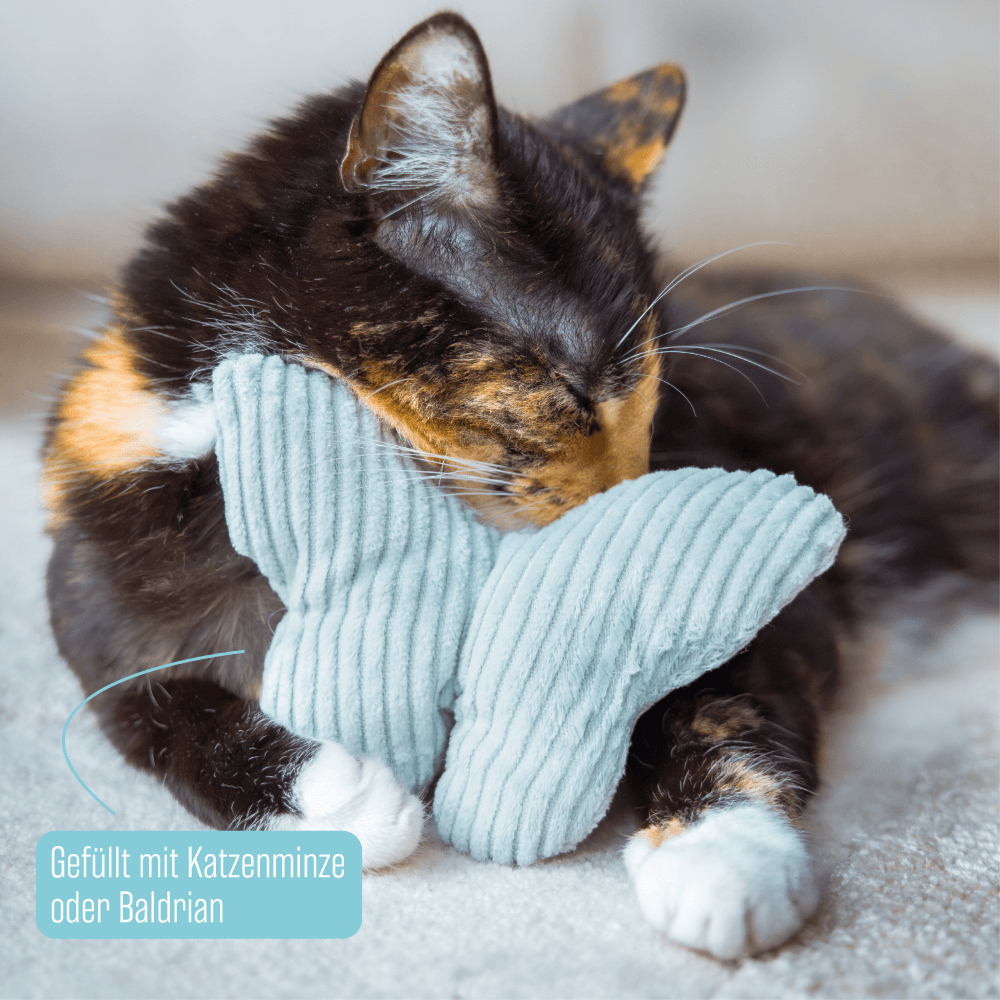 Baldrian / Katzenminze Kissen Schmetterling - Katzenminze