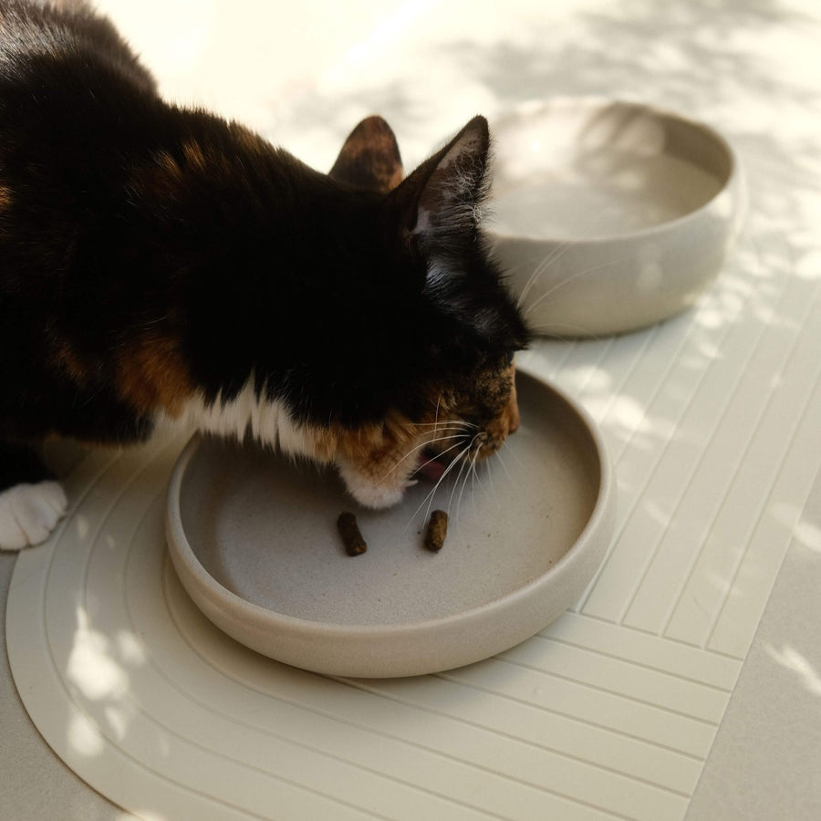 Keramik Futternapf Katze creme - The Catery – the catery shop
