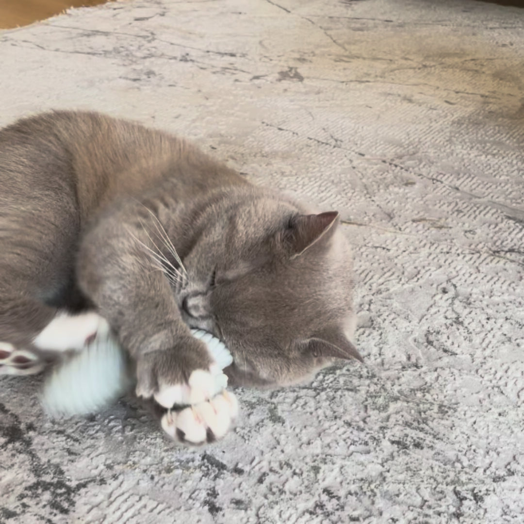 Katzenspielzeug Duftkissen Schmetterling