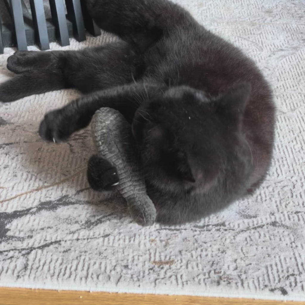 Katze spielt mit Fisch