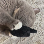Katze spielt mit Katzenminzkissen