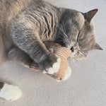 Katze spielt mit Baldriankissen