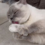 Katze spielt mit Katzenminzkissen
