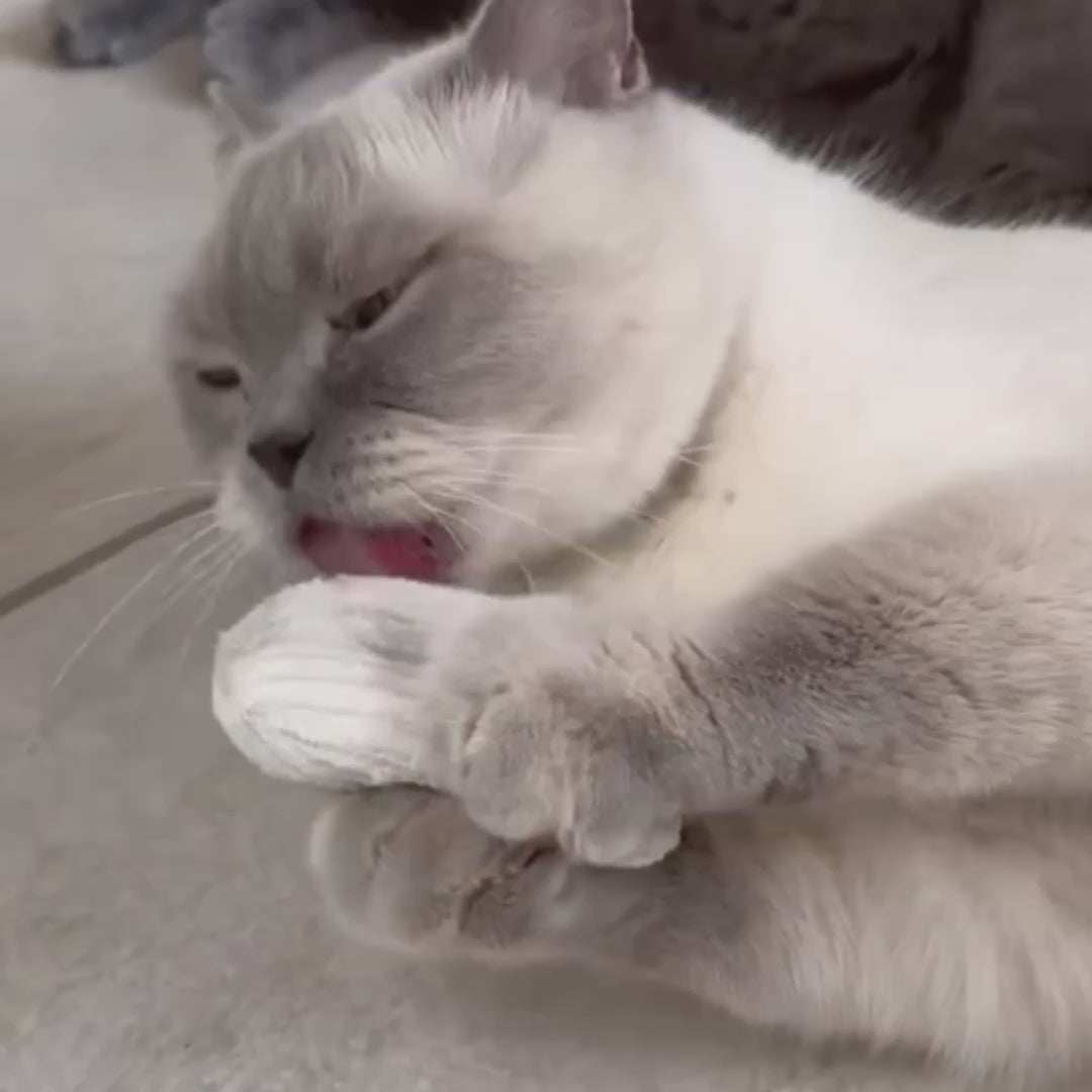 Katze spielt mit Katzenminzkissen
