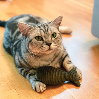 Katze mit Baldriankissen Fisch